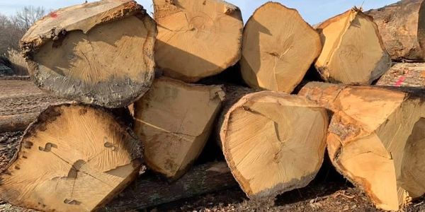 Close-up of stacked hardwood logs.