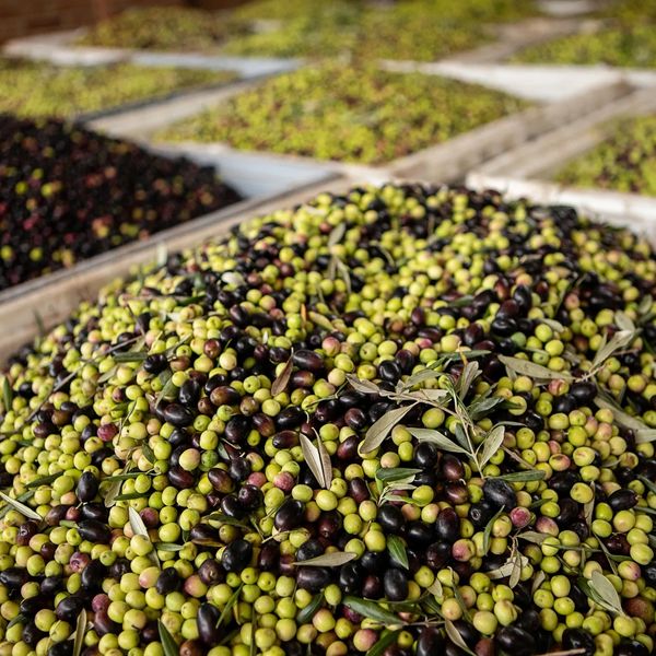 A serene landscape featuring a sunset over a calm lake, surrounded by mountains and lush greenery.