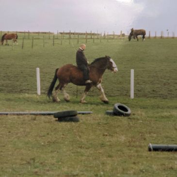 An old photo at The Robinsons Retirement Ranch