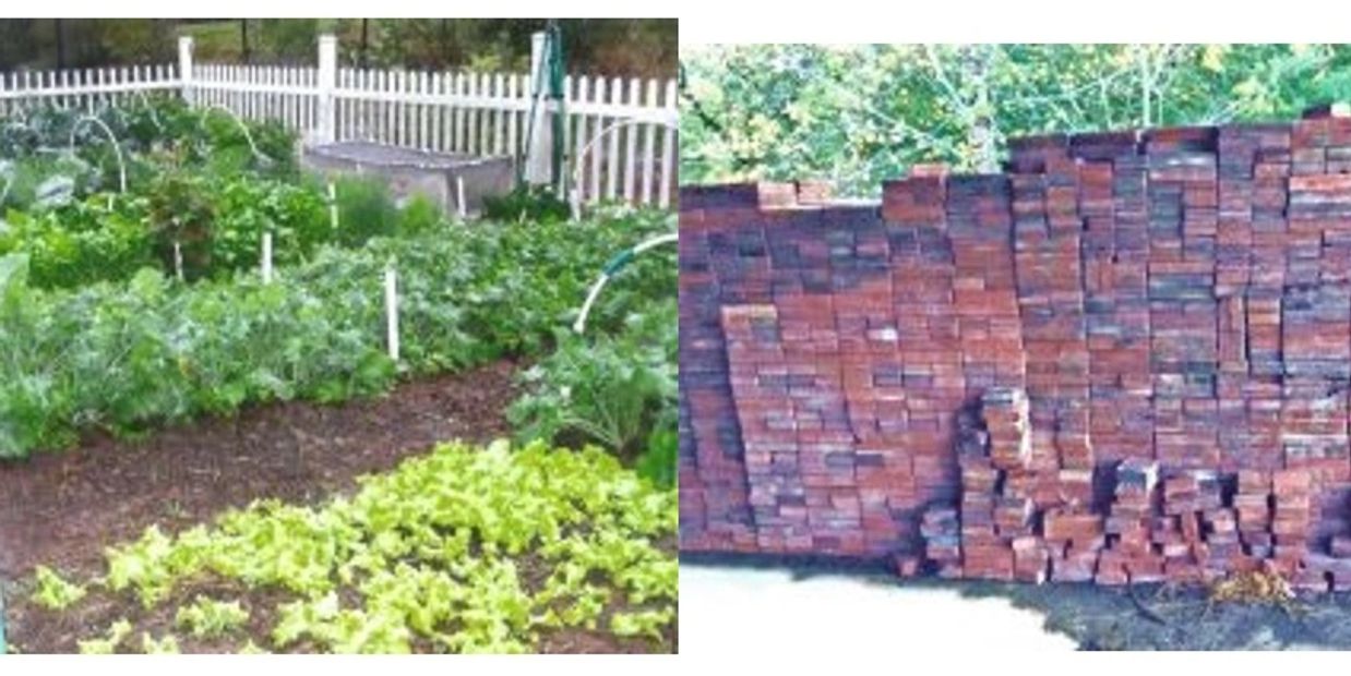 Garden and bricks