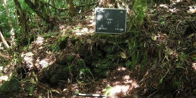Dr. Joel Klenck: Ray with capstones, Locus 3, Tia-seu-lupe, archaeology of Luatele or Judds Crater.