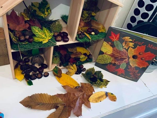 Following stories and creating things with the nature around you