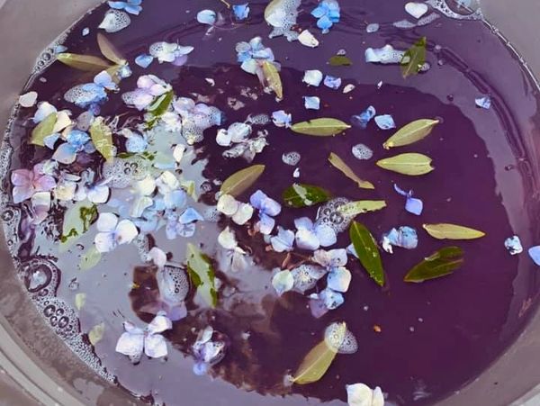 Experimenting with different colours, plants and materials to make potions