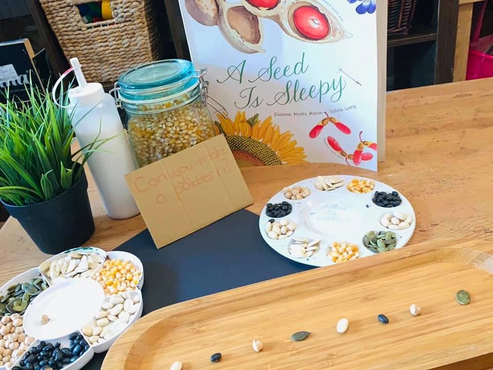 Explore different seeds, colours and their sizes