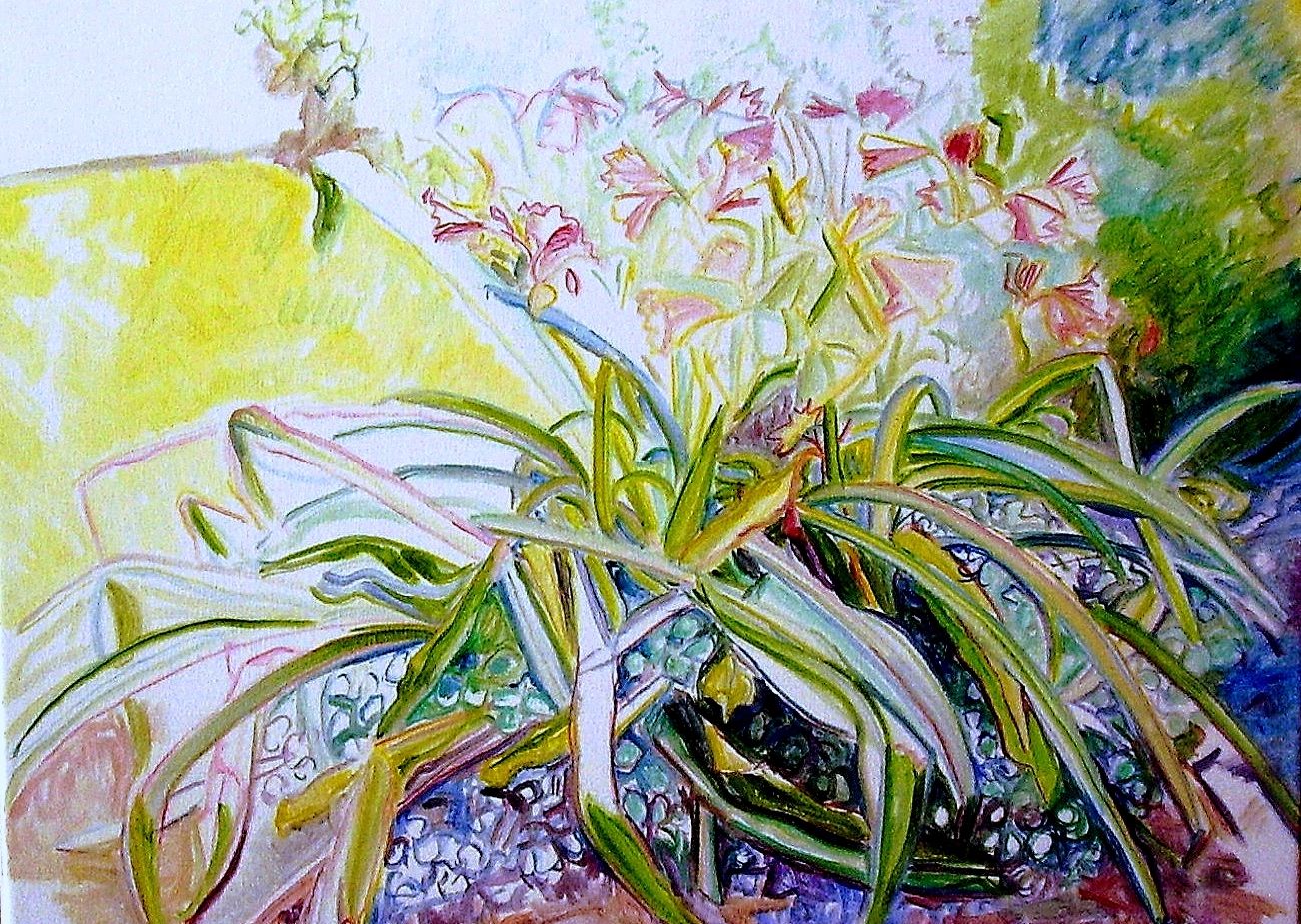 Summer Garden by Suzanne Gilliard