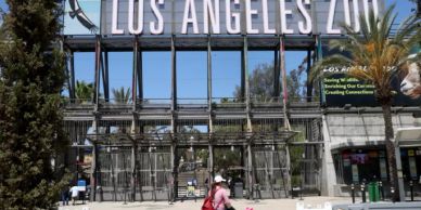 Entrance to the Los Angeles Zoo on a sunny day.