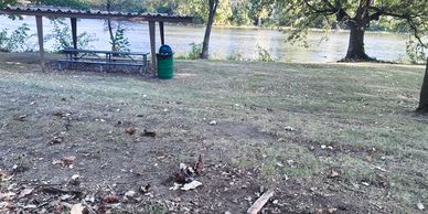 Picnic area by a river with tables and trees.