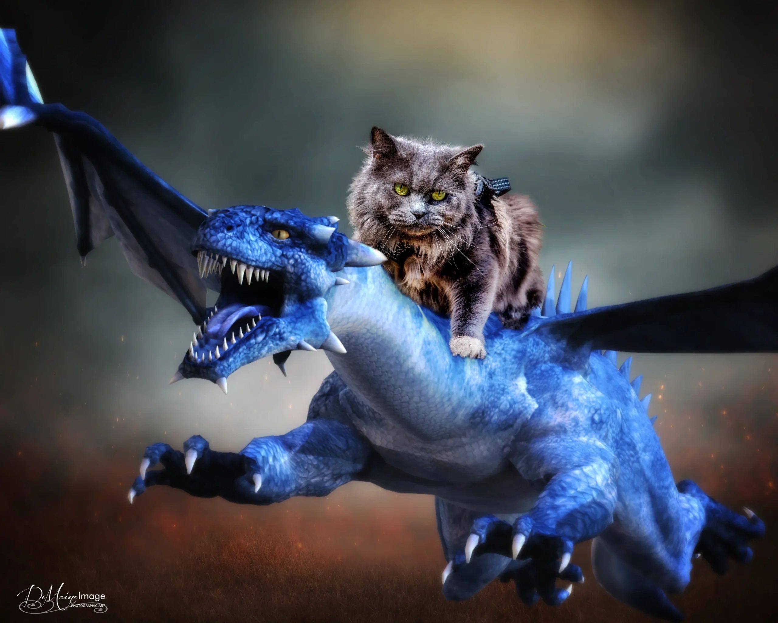 Marlena the magnificent cat riding a blue dragon.