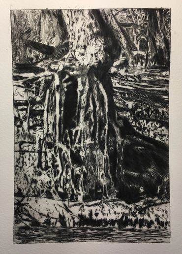 Printmaking, drypoint, etching tree roots mono, resilience