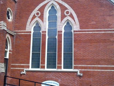 White Elm custom windows