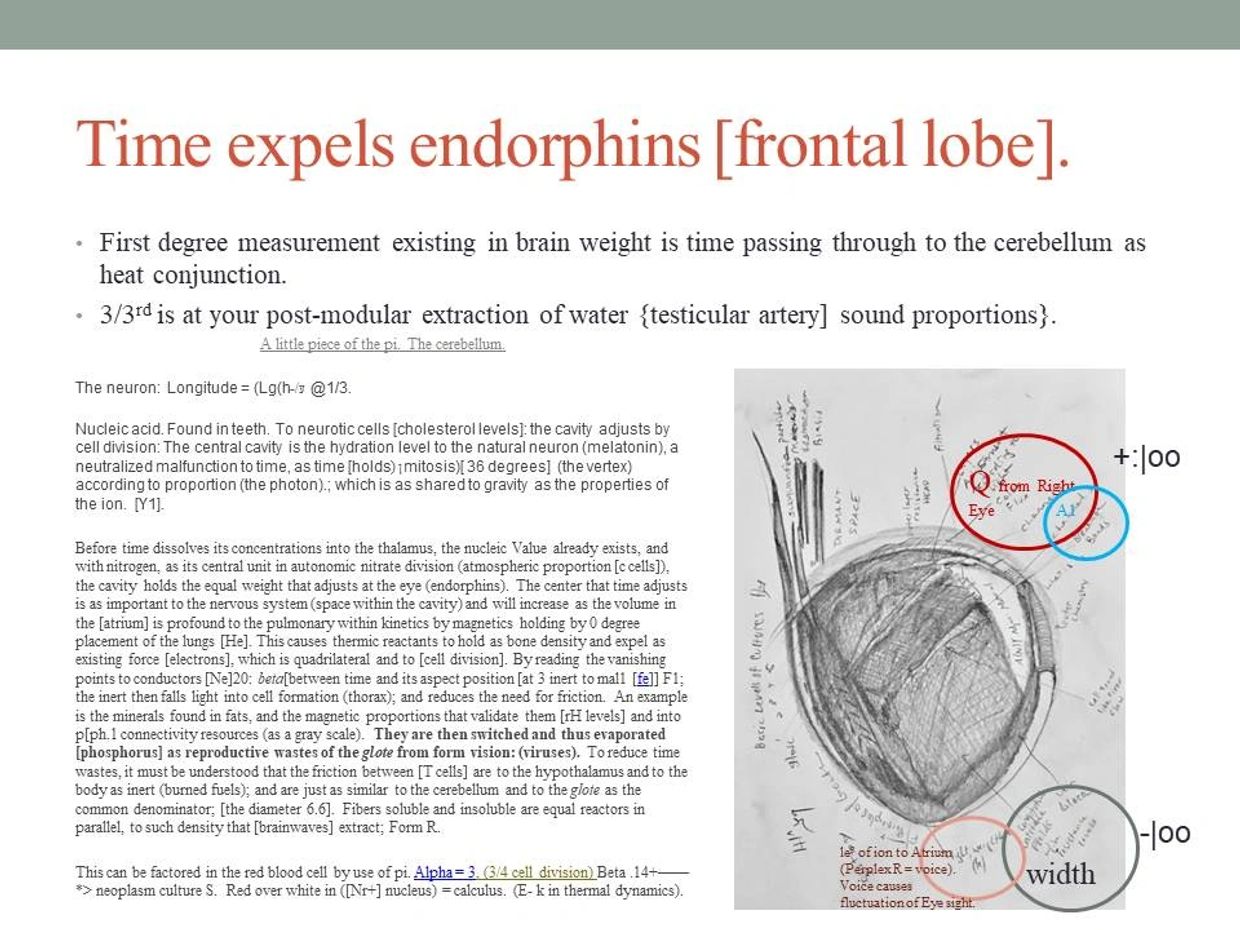 The glottal function in dream cycles. 2020.
