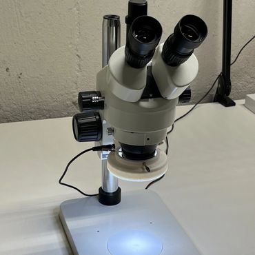 Stereo Zoom Microscope