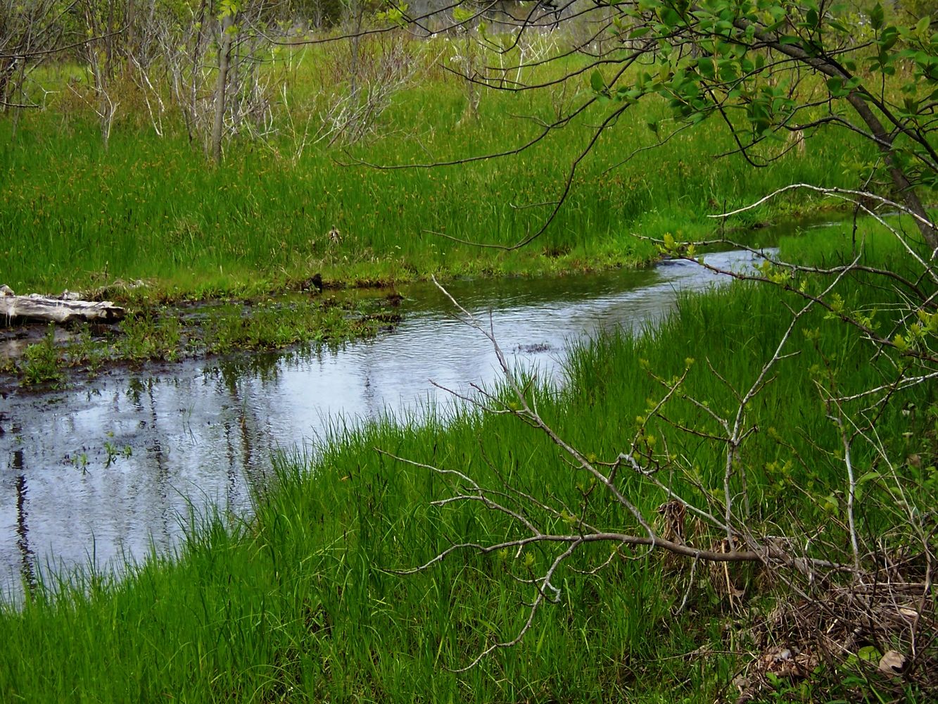 image1640