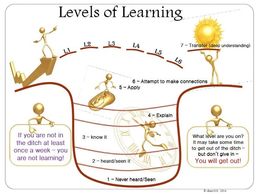 In the Ditch - meta-cognitive, growth mindset, proficiency scale