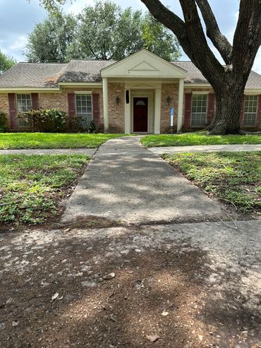 A photo of a walkway with leaves and branches with a tree before being pressure-washed.