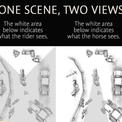 Two views: The first view is what the rider sees, and the second is what the horse sees.