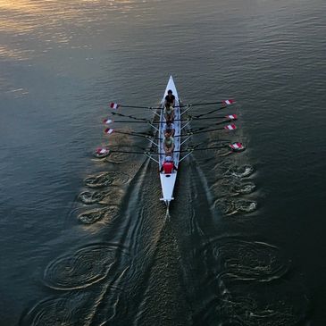 How sports insights drive business growth, employee performance, culture and sales