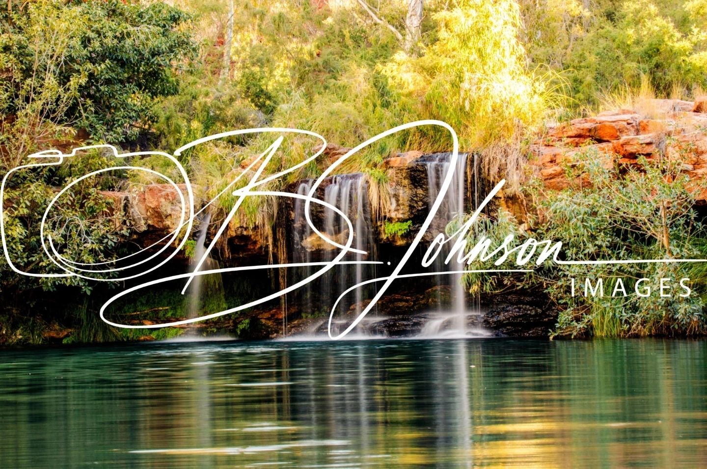 Fern pool