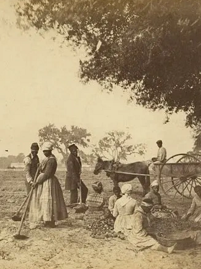 Detail of Enslaved people planting sweet potatoes at Hopkinson's Plantation.