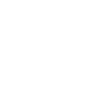 Artcityclaws Maine Coon Cattery