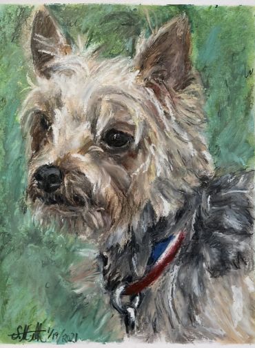 Oil pastel picture of a Yorkie
