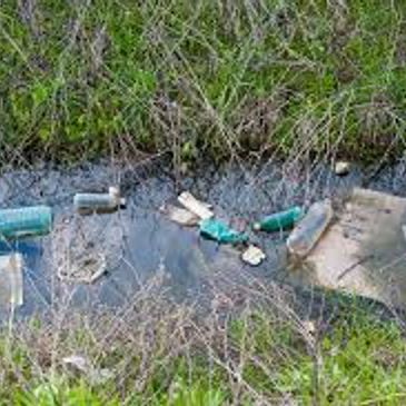 Plastic bottles and trash polluting a small water body surrounded by grass.