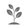 PLANTA