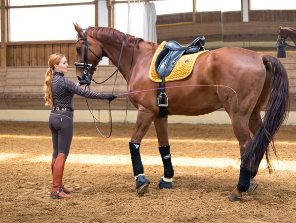 Der Vorteil daran ist, dass man alles auch in Form von Handarbeit, also auch vom Boden aus erarbeite