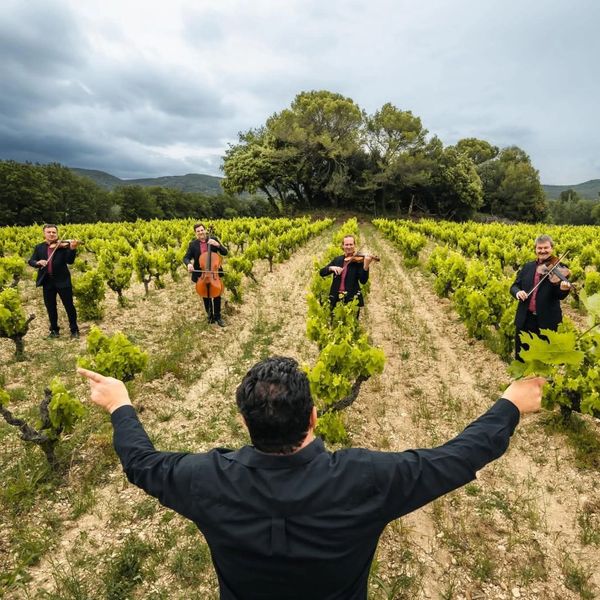 Domaine de Cousignac.