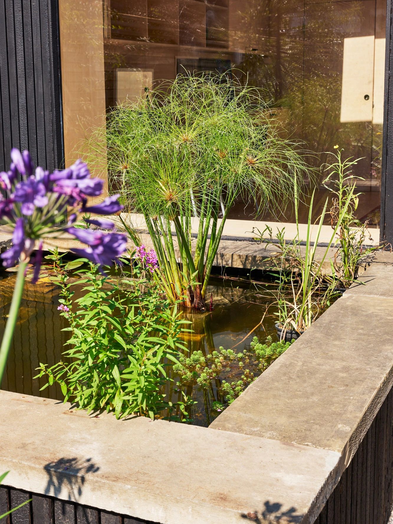 raised pond with cladding on walls and Yorkstone coping