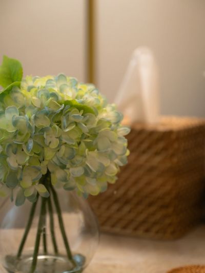 Hydrangea flowers in a glass vase.