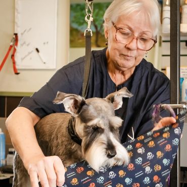 K-9 Country Club Staff