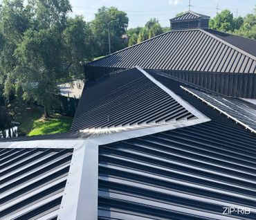 Shiny black metal roofs with sleek ridges under bright daylight.
