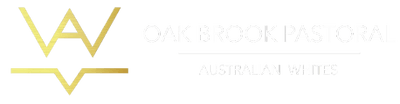 Oak Brook Pastoral