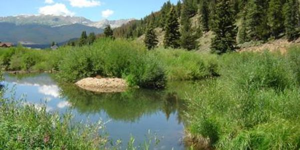 Example of wetlands area