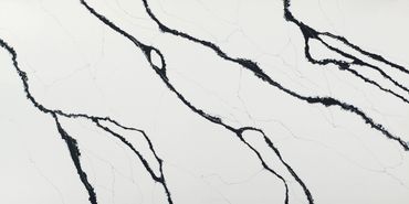 White marble surface with bold black veins.