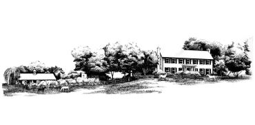 Pen & Ink Drawing - Winery