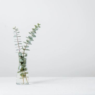Vase d'eucalyptus