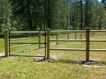 Treated lodge pole pine rail fence