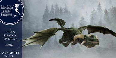 Digital Dragon Overlay flying 