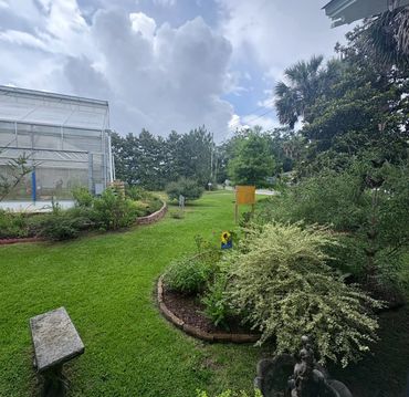 Lush garden with green grass, shrubs, and a cloudy sky.
