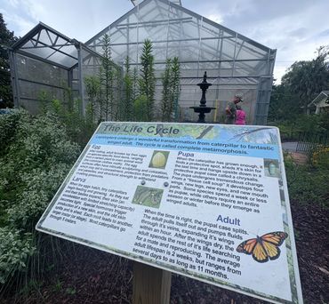 Informational sign about the butterfly life cycle near a greenhouse.