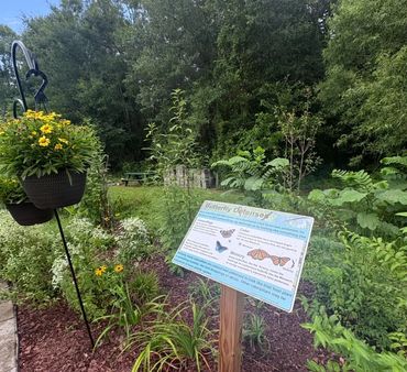 Informational garden sign about butterfly defenses in a lush green garden.