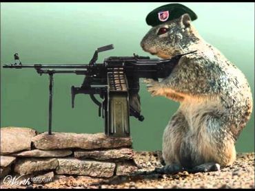 A squirrel wearing a military beret operating a machine gun behind a stone barrier.