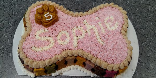 Dog Birthday Cake
Dog Gotcha Day Cake
Dog Adoption Day Cake
Dog Bakery
Pet Bakery
