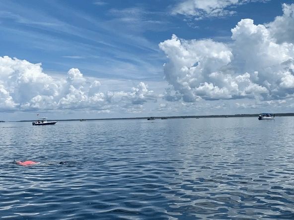 Scallopers in the ocean at Off Duty Rentals Steinhatchee Vacation Rental