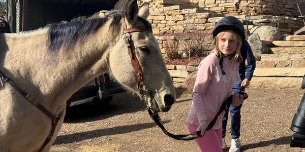 A young girl in a helmet leads a horse outside a house with stone steps.