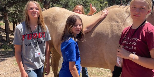 Four people happily posing with a horse outdoors on a sunny day.