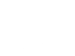 Media Tribe Productions