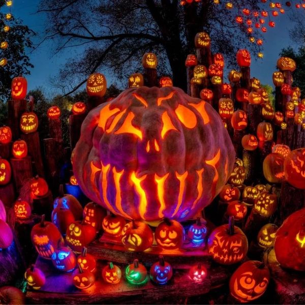 A vibrant display of glowing jack-o'-lanterns with various faces at night.